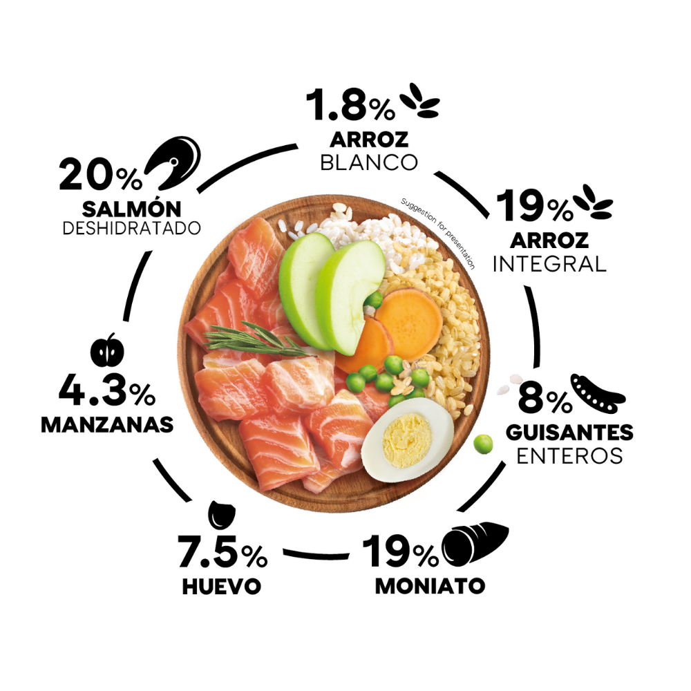 Picart Select Dog Adult Mini Salmón y Rice 8 kg PICART SELECT Mascotas-Ávila