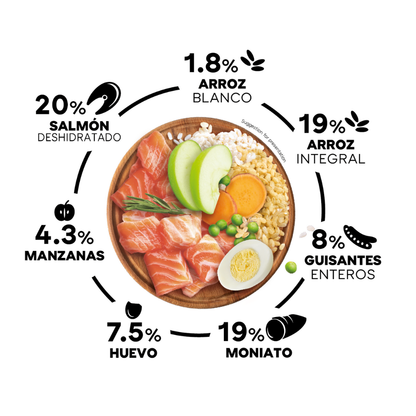 Picart Select Dog Adult Mini Salmón y Rice 8 kg PICART SELECT Mascotas-Ávila