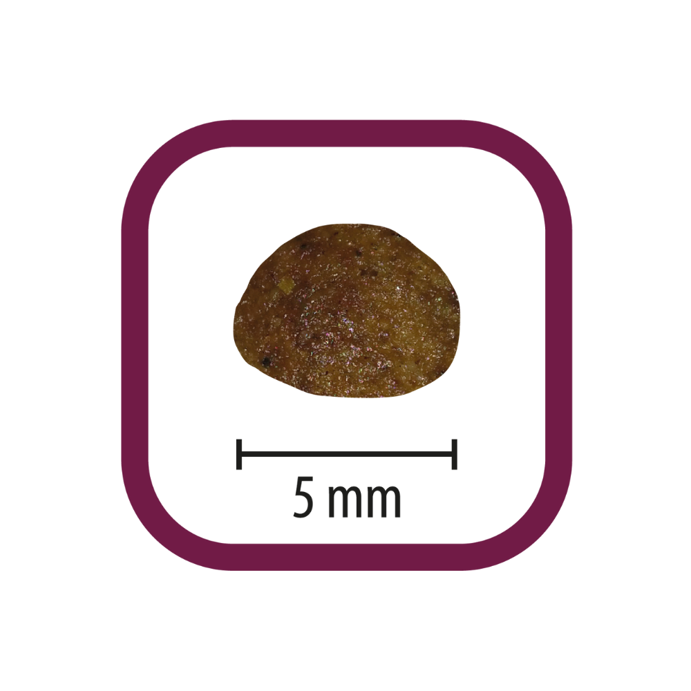 Picart Select Professional Starter 18 kg Pienso para Criadores PICART SELECT Mascotas-Ávila