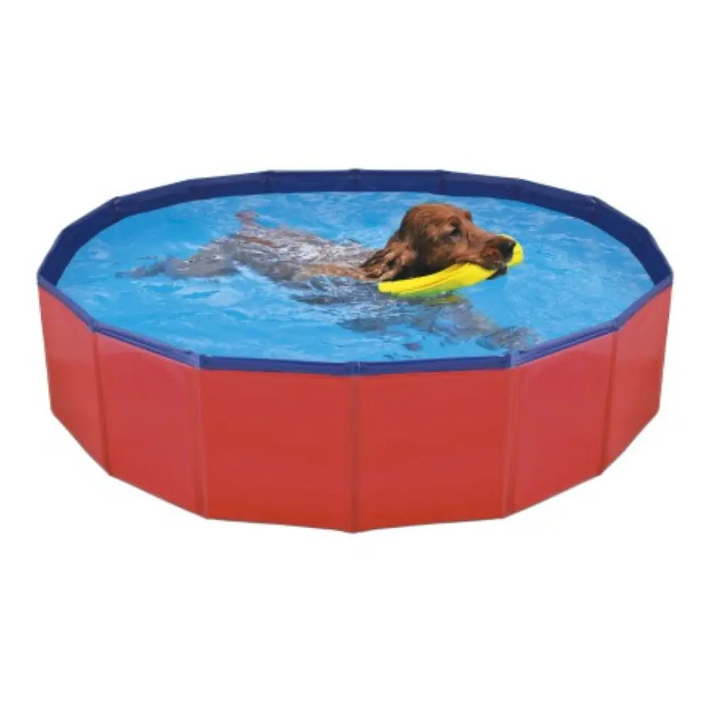 Piscina Para Perros NAYECO Mascotas-Ávila