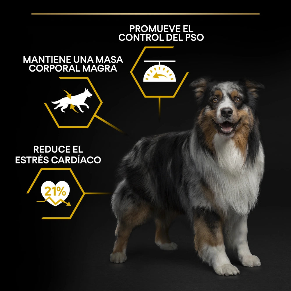 Pro Plan Dog AllSize Adult Light Sterilized Pollo 14kg+2,5kg gratis PURINA Mascotas-Ávila