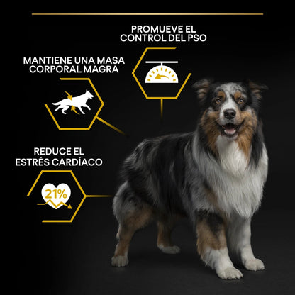 Pro Plan Dog AllSize Adult Light Sterilized Pollo 14kg+2,5kg gratis PURINA Mascotas-Ávila