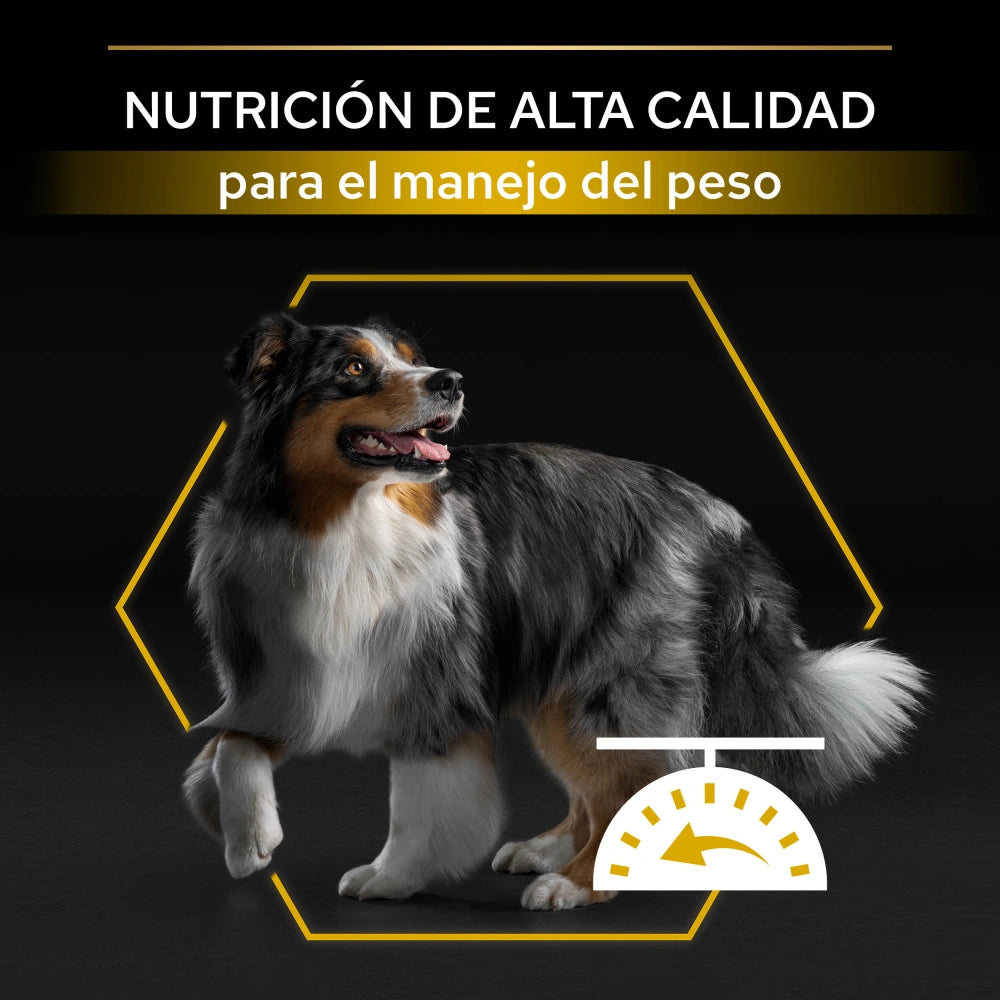 Pro Plan Dog AllSize Adult Light Sterilized Pollo 14kg+2,5kg gratis PURINA Mascotas-Ávila