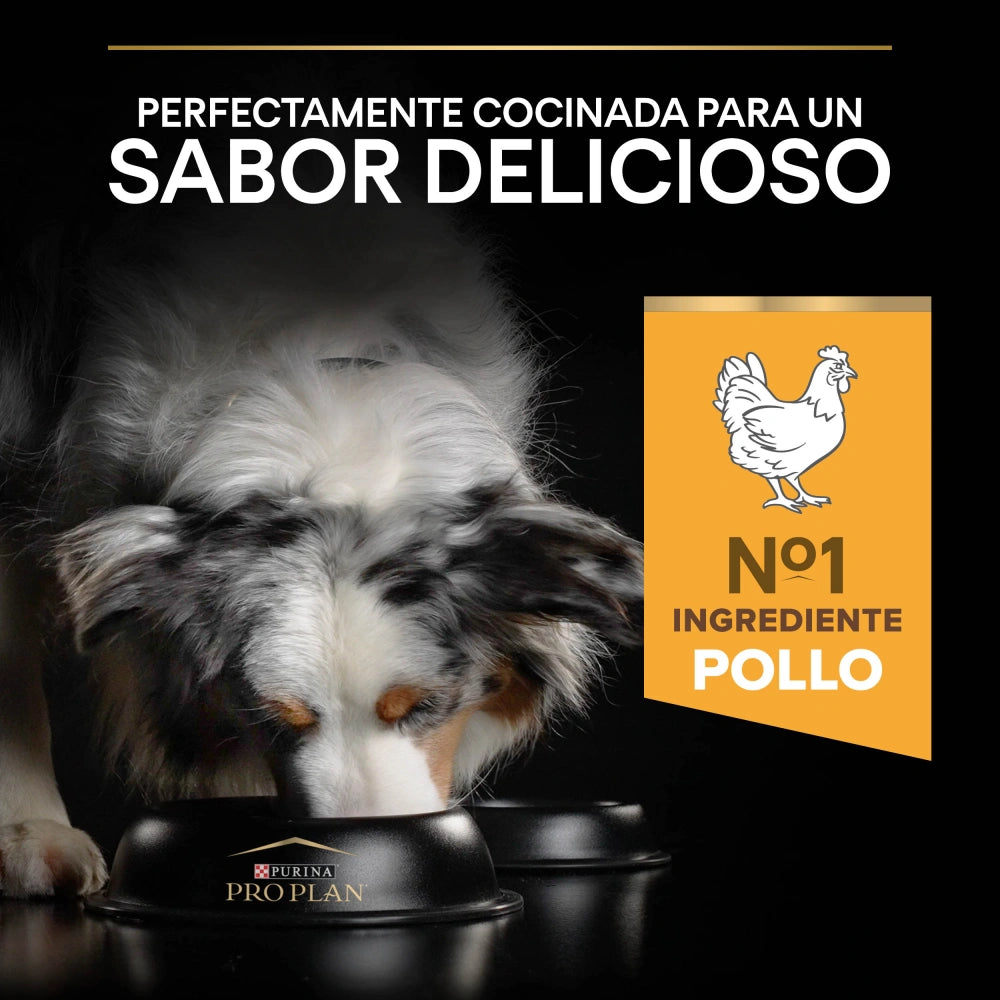 Pro Plan Dog AllSize Adult Light Sterilized Pollo 14kg+2,5kg gratis PURINA Mascotas-Ávila