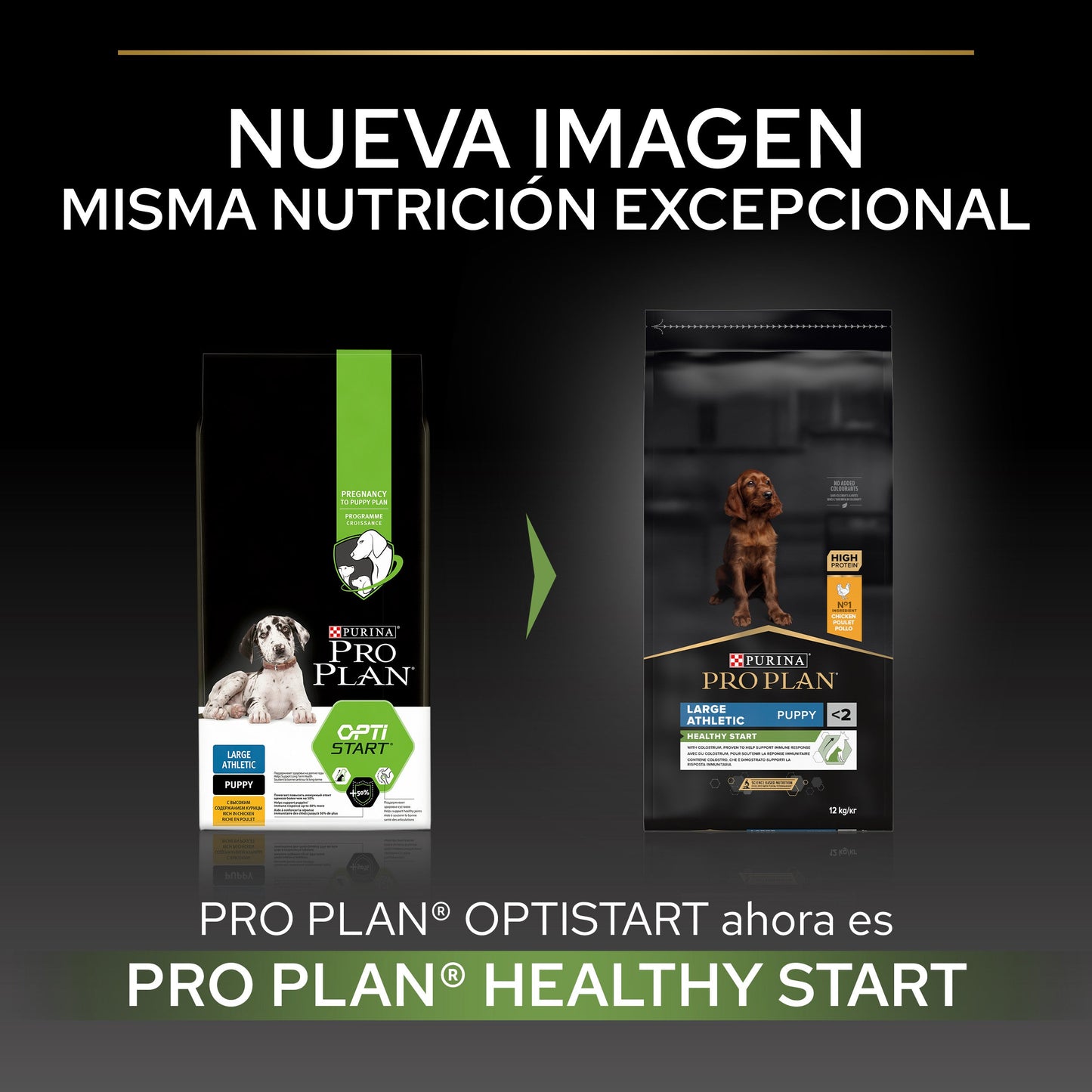 Pro Plan Dog Large Athletic Puppy Start Pollo Pienso para Cachorros PRO PLAN Mascotas-Ávila