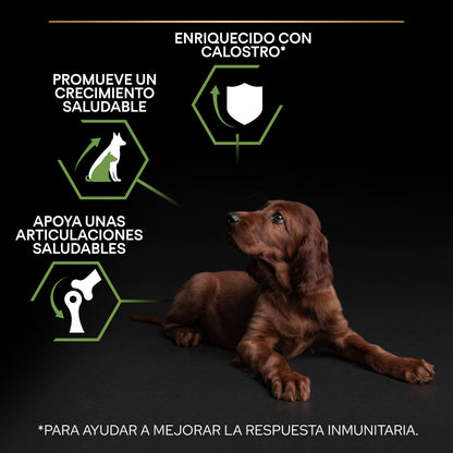 Pro Plan Dog Large Athletic Puppy Start Pollo Pienso para Cachorros PRO PLAN Mascotas-Ávila