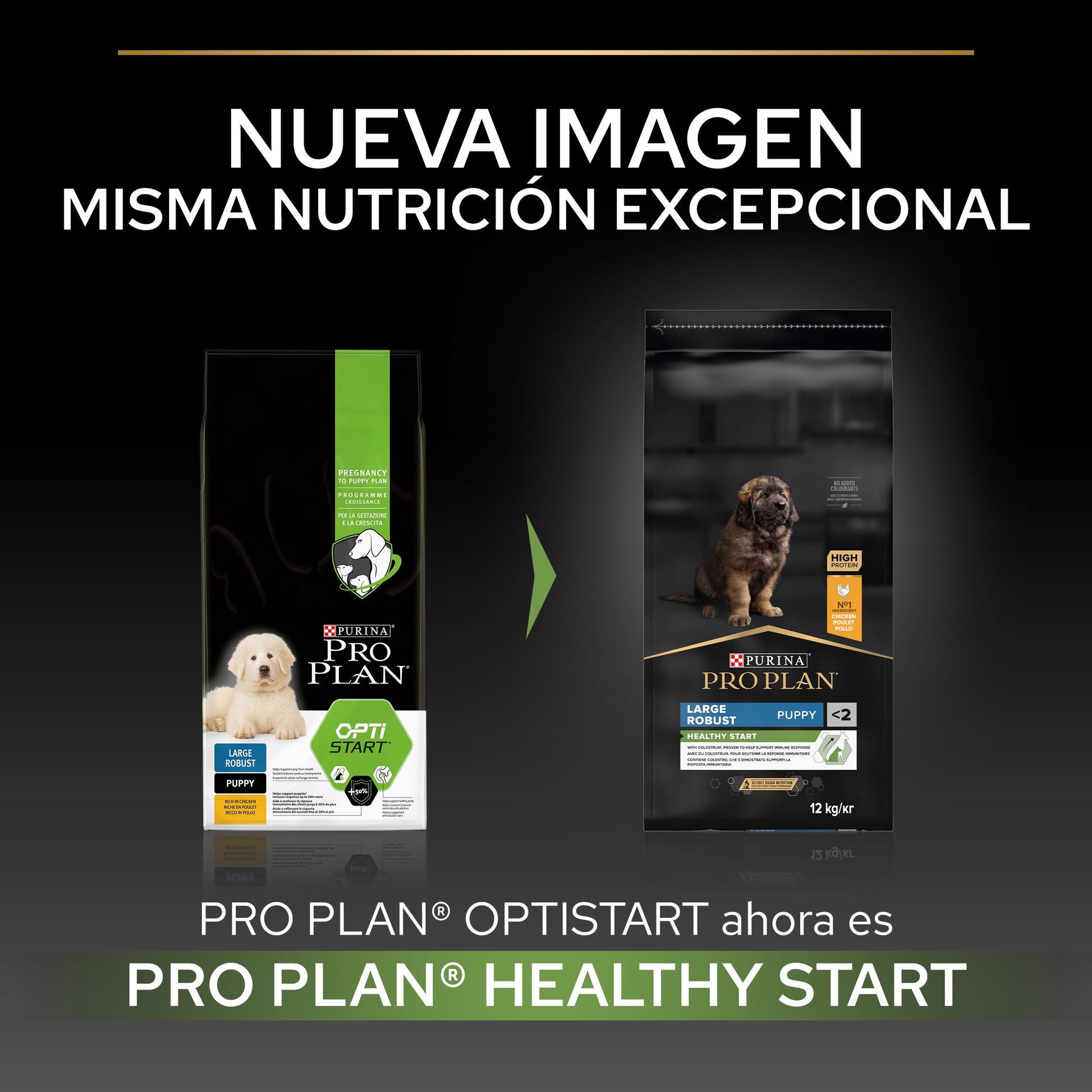 Pro Plan Dog Large Robust Puppy Start Pollo Pienso para Cachorros PRO PLAN Mascotas-Ávila