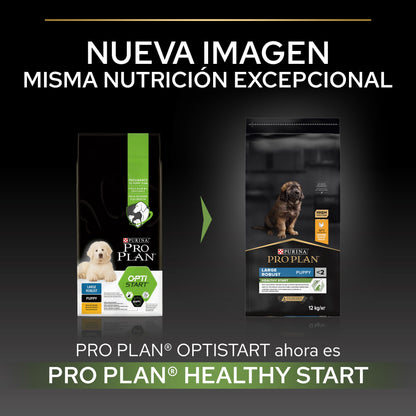 Pro Plan Dog Large Robust Puppy Start Pollo Pienso para Cachorros PRO PLAN Mascotas-Ávila