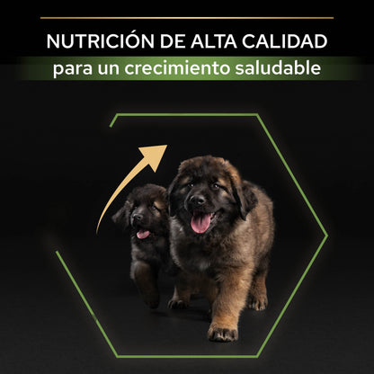 Pro Plan Dog Large Robust Puppy Start Pollo Pienso para Cachorros PRO PLAN Mascotas-Ávila
