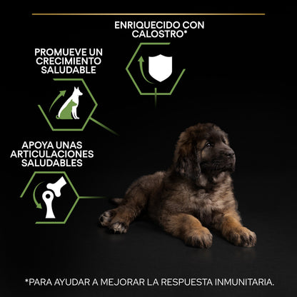 Pro Plan Dog Large Robust Puppy Start Pollo Pienso para Cachorros PRO PLAN Mascotas-Ávila