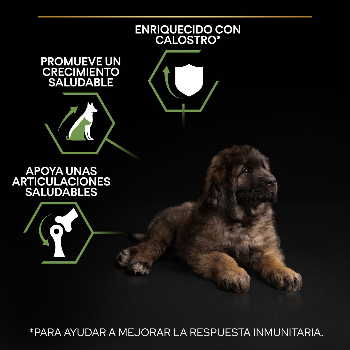 Pro Plan Dog Large Robust Puppy Start Pollo Pienso para Cachorros PRO PLAN Mascotas-Ávila