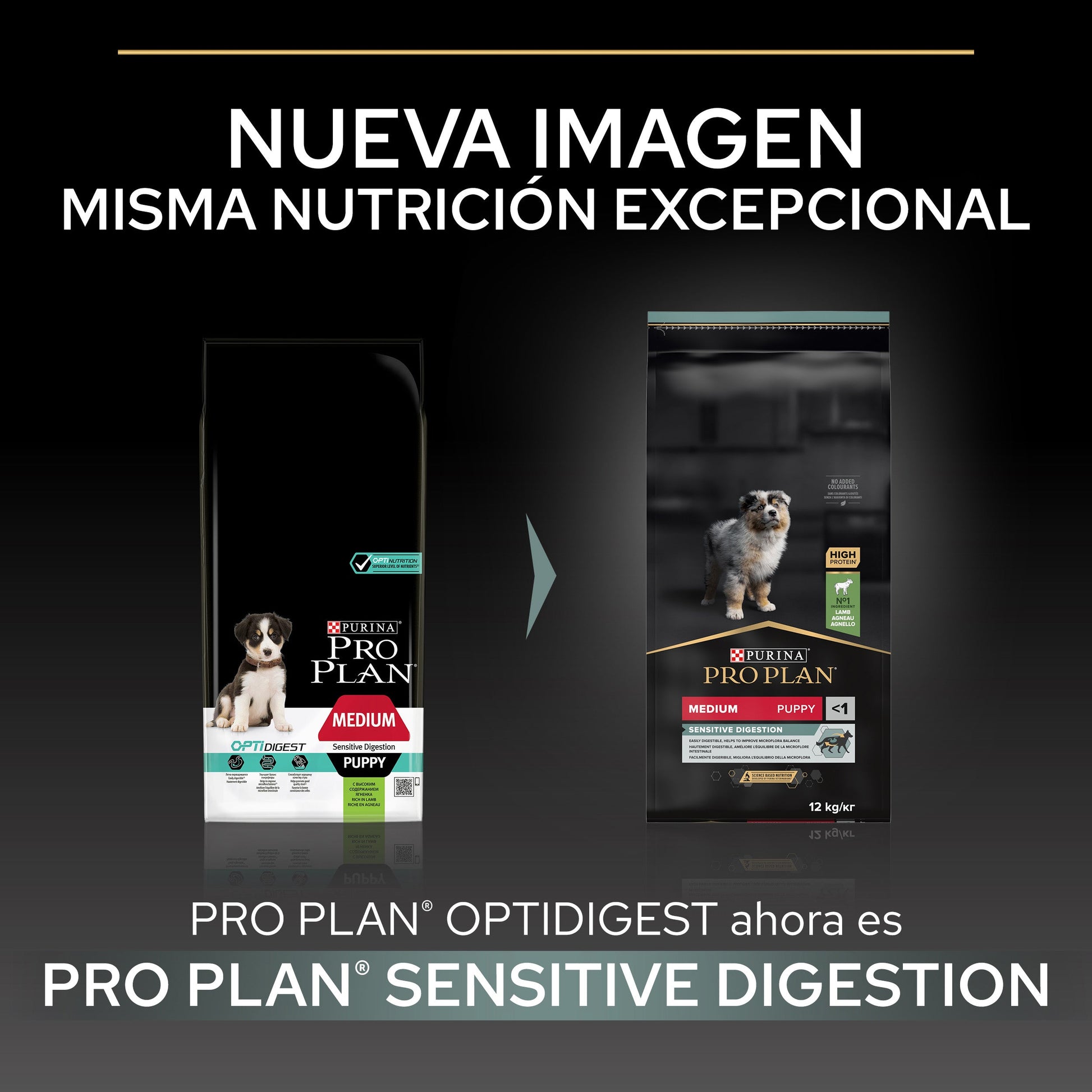 Pro Plan Dog Medium Puppy Digest Cordero Pienso para Cachorros PRO PLAN Mascotas-Ávila