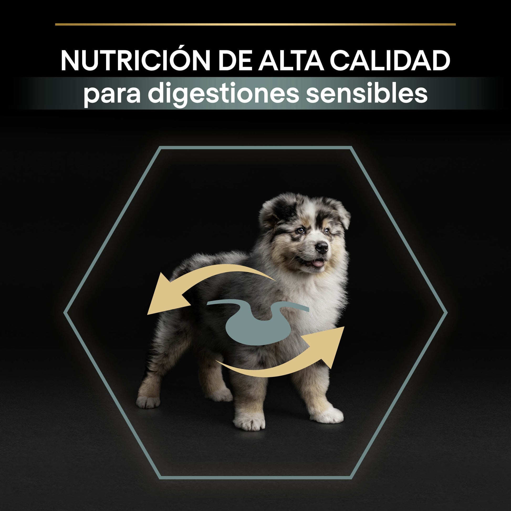 Pro Plan Dog Medium Puppy Digest Cordero Pienso para Cachorros PRO PLAN Mascotas-Ávila