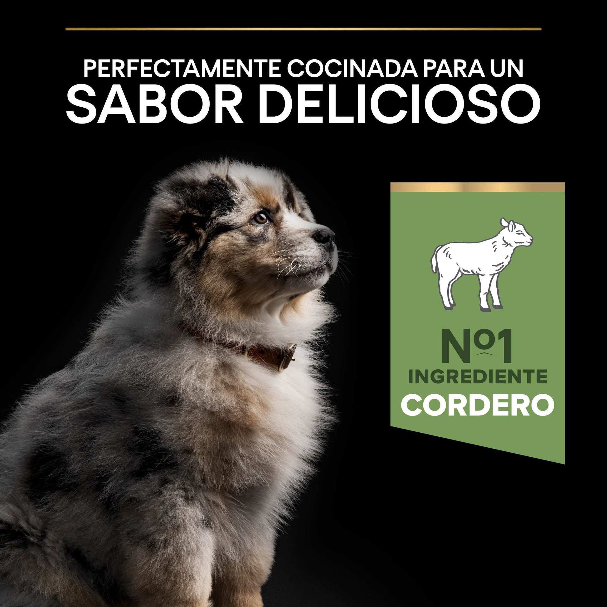 Pro Plan Dog Medium Puppy Digest Cordero Pienso para Cachorros PRO PLAN Mascotas-Ávila