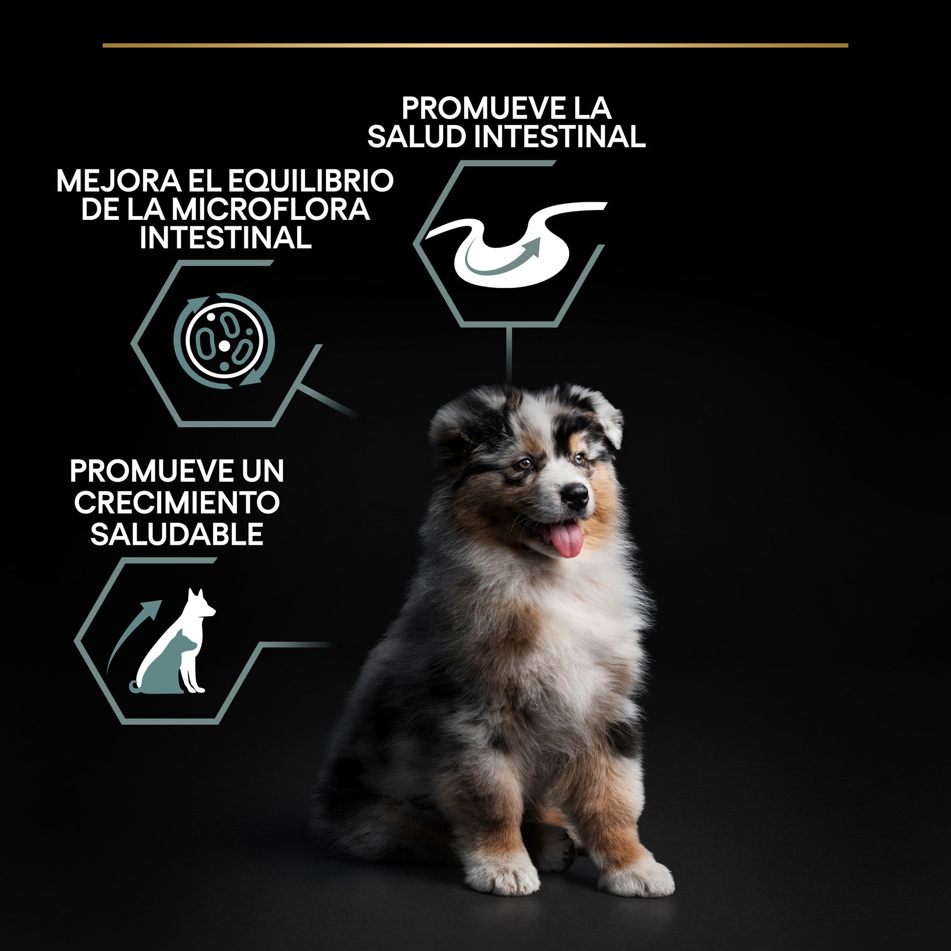 Pro Plan Dog Medium Puppy Digest Cordero Pienso para Cachorros PRO PLAN Mascotas-Ávila