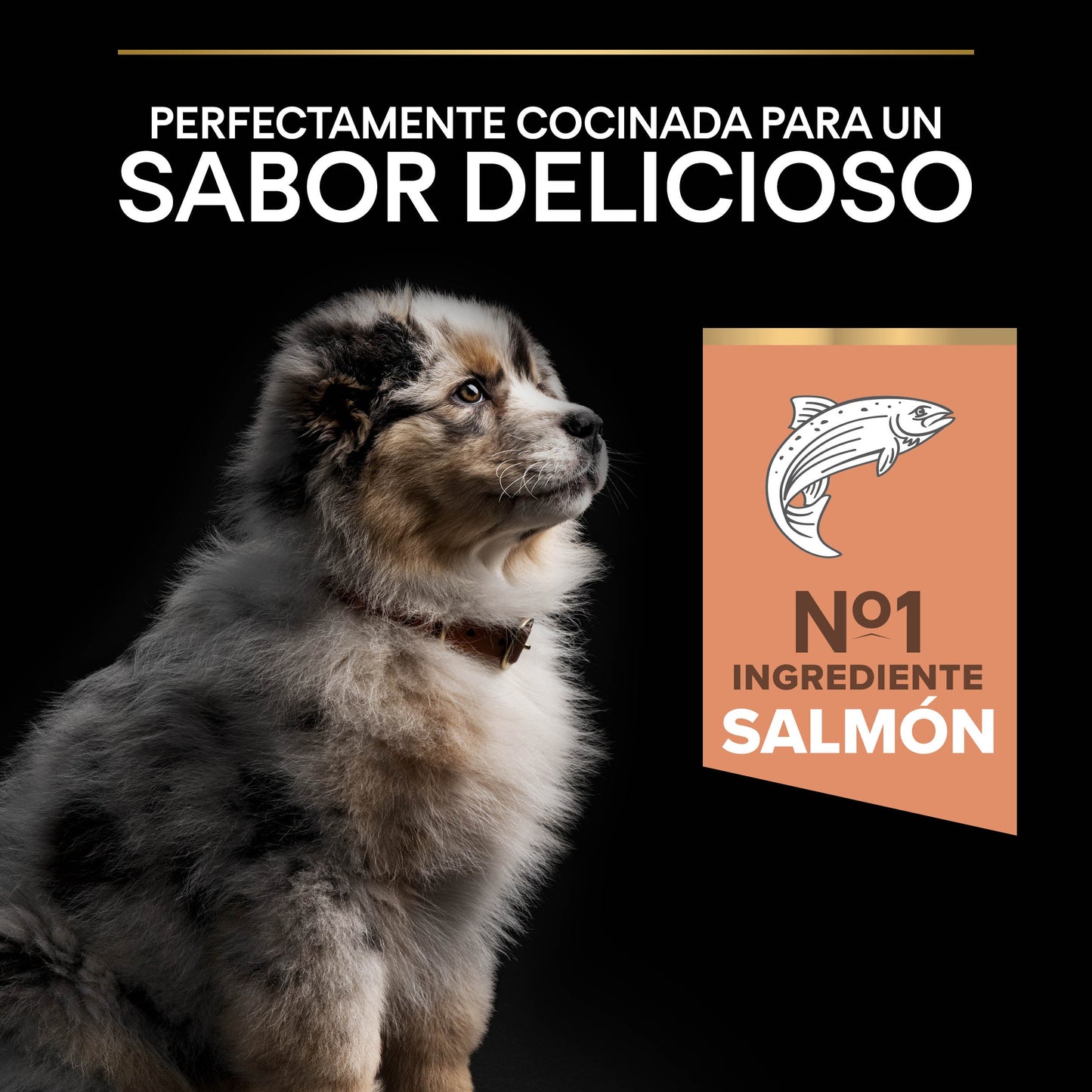 Pro Plan Dog Medium Puppy Sensitive Skin Salmón Pienso para Perros PRO PLAN Mascotas-Ávila