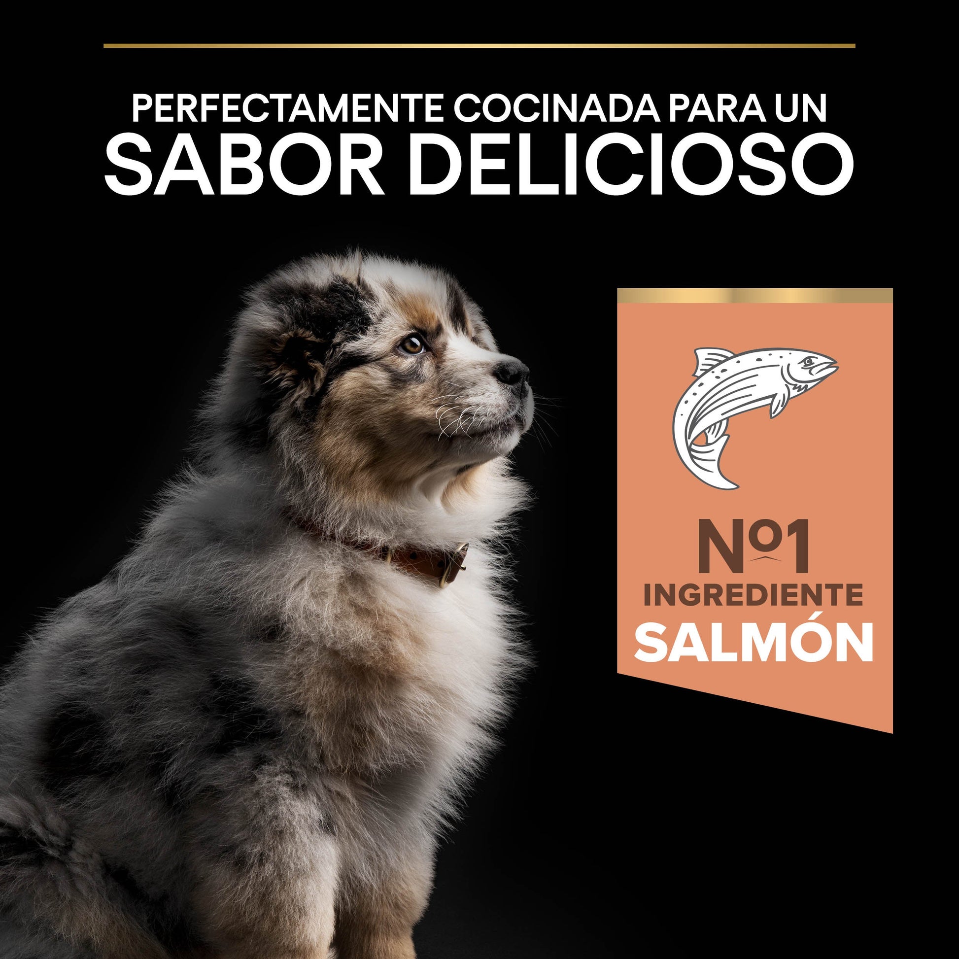 Pro Plan Dog Medium Puppy Sensitive Skin Salmón Pienso para Perros PRO PLAN Mascotas-Ávila