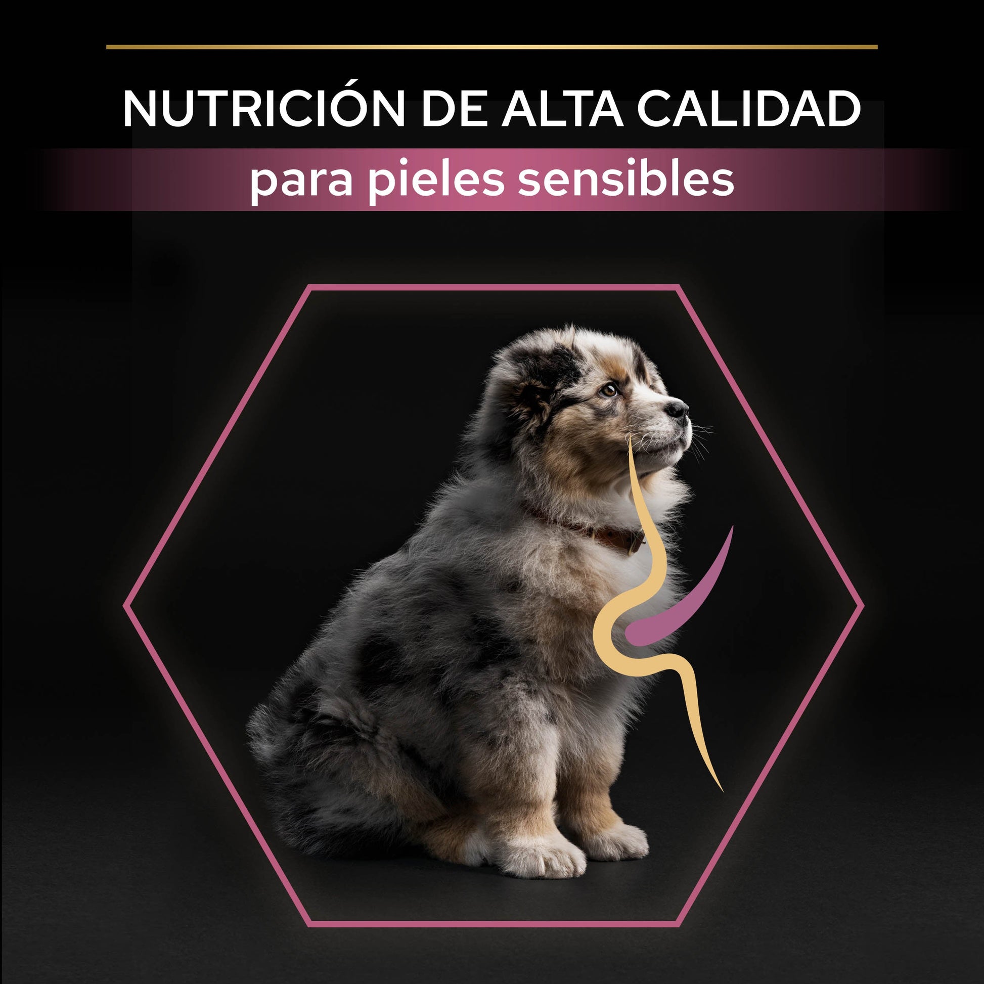 Pro Plan Dog Medium Puppy Sensitive Skin Salmón Pienso para Perros PRO PLAN Mascotas-Ávila