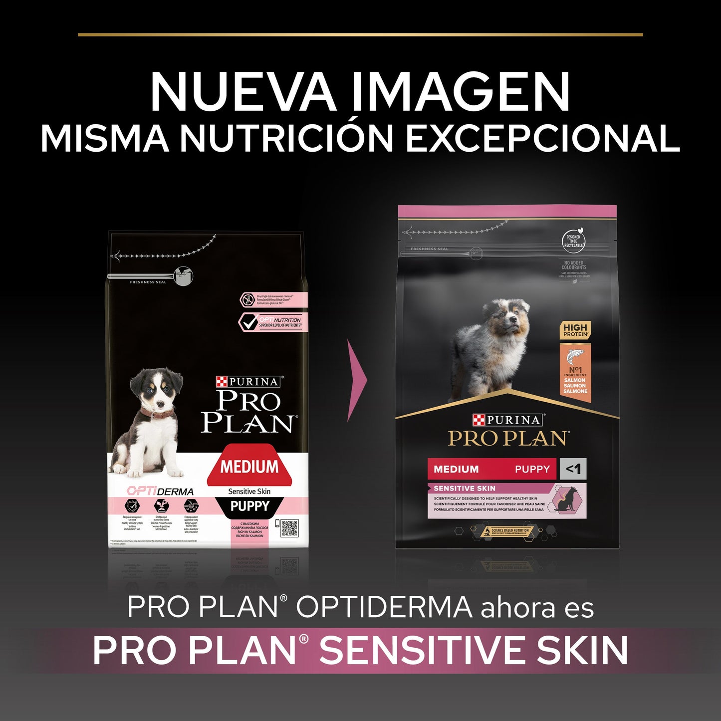 Pro Plan Dog Medium Puppy Sensitive Skin Salmón Pienso para Perros PRO PLAN Mascotas-Ávila