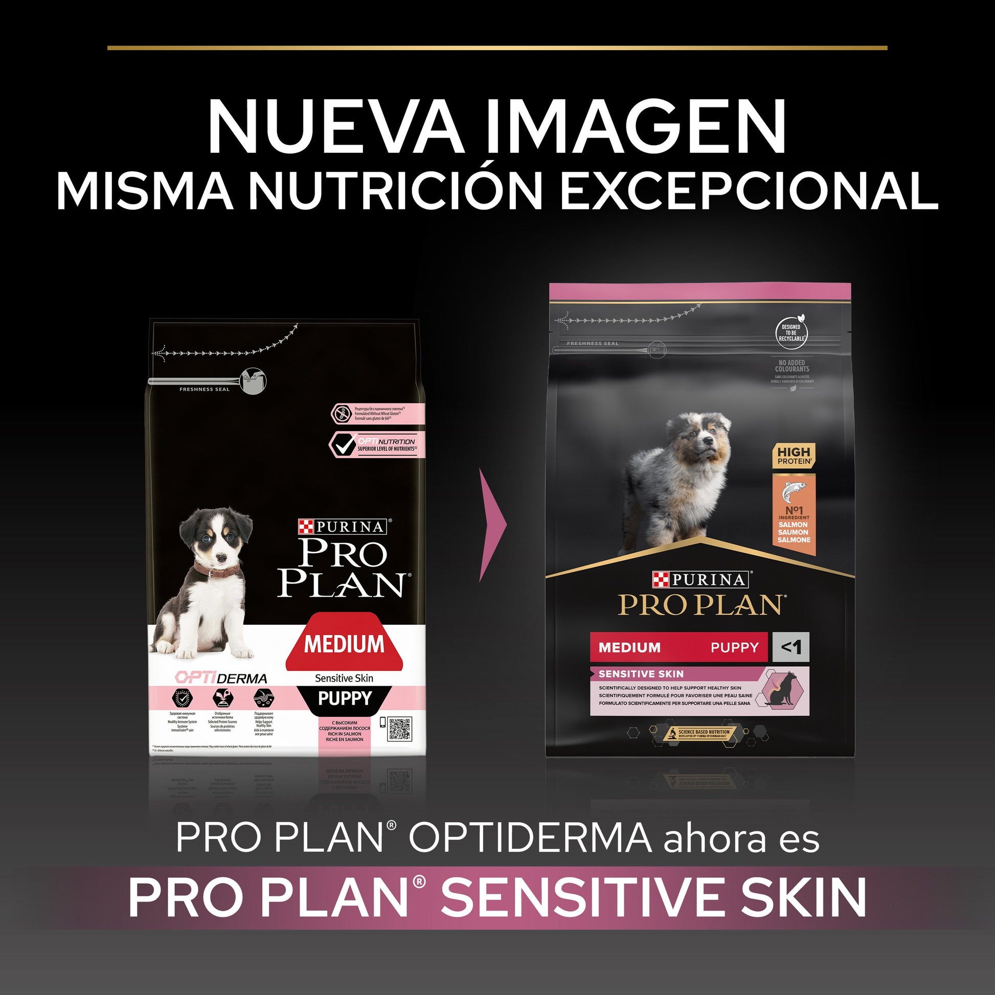Pro Plan Dog Medium Puppy Sensitive Skin Salmón Pienso para Perros PRO PLAN Mascotas-Ávila