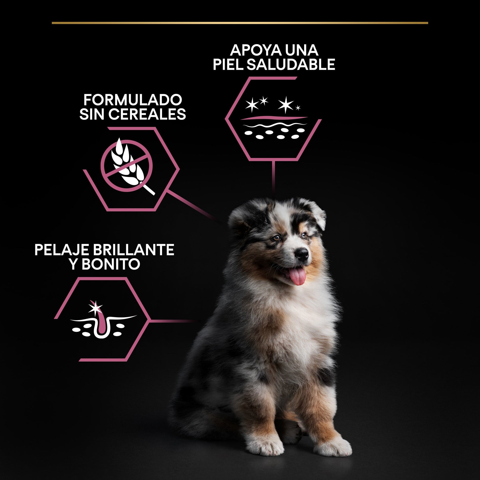 Pro Plan Dog Medium Puppy Sensitive Skin Salmón Pienso para Perros PRO PLAN Mascotas-Ávila