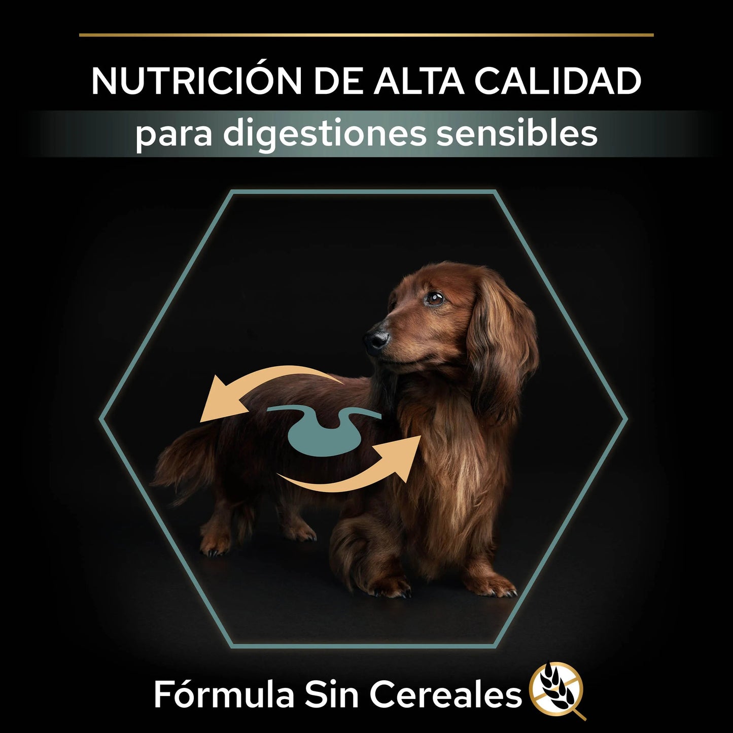 Pro Plan Small & Mini Adult Digest Grain Free Pavo Pienso para Perros PURINA Mascotas-Ávila