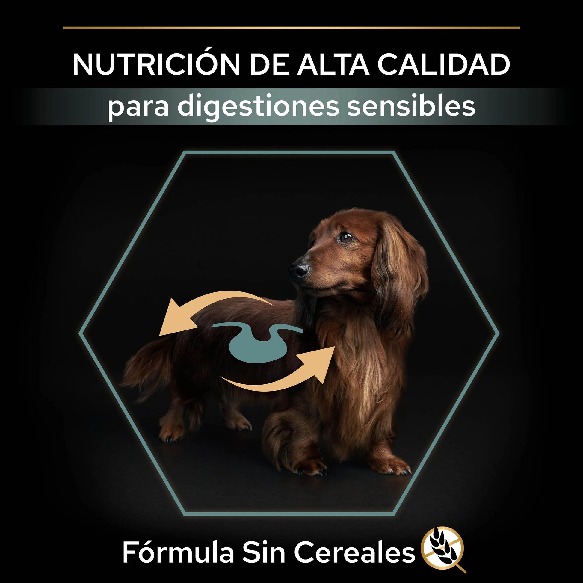 Pro Plan Small & Mini Adult Digest Grain Free Pavo Pienso para Perros PURINA Mascotas-Ávila