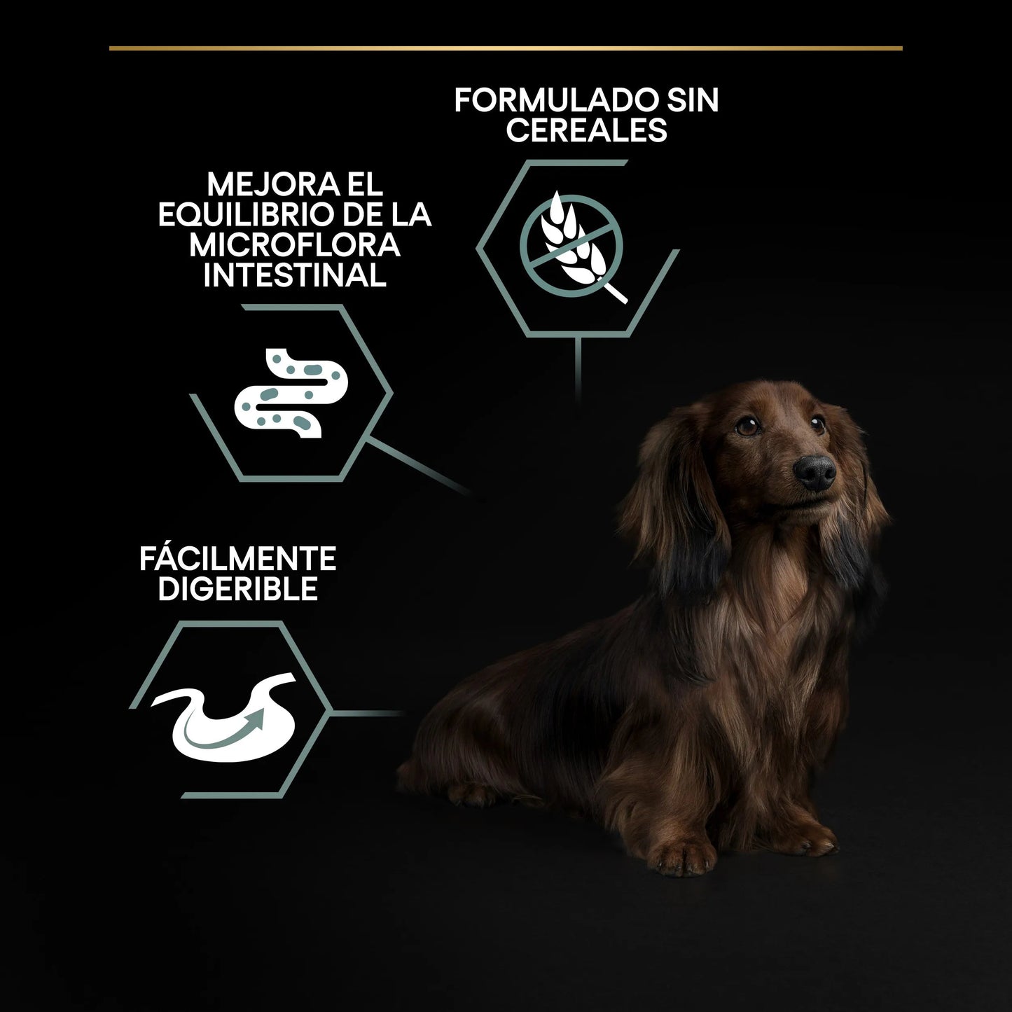 Pro Plan Small & Mini Adult Digest Grain Free Pavo Pienso para Perros PURINA Mascotas-Ávila