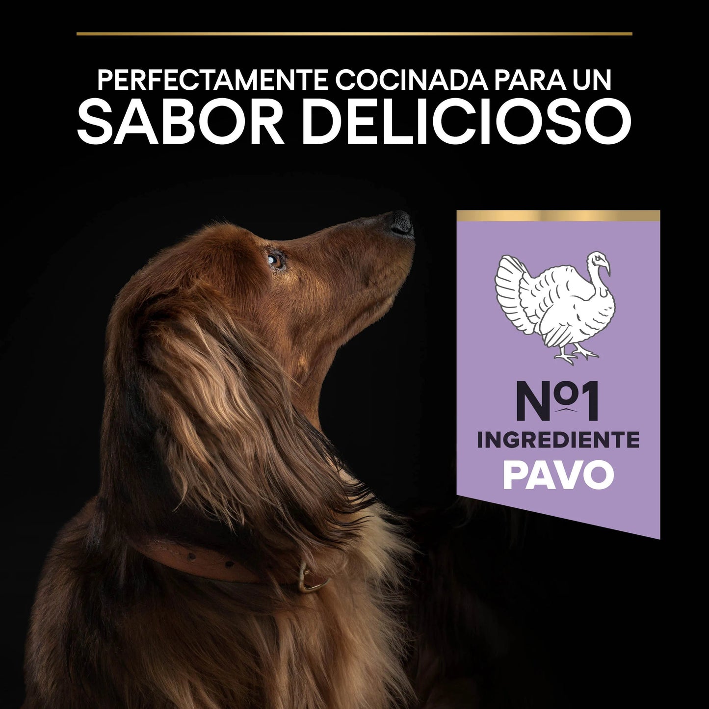 Pro Plan Small & Mini Adult Digest Grain Free Pavo Pienso para Perros PURINA Mascotas-Ávila