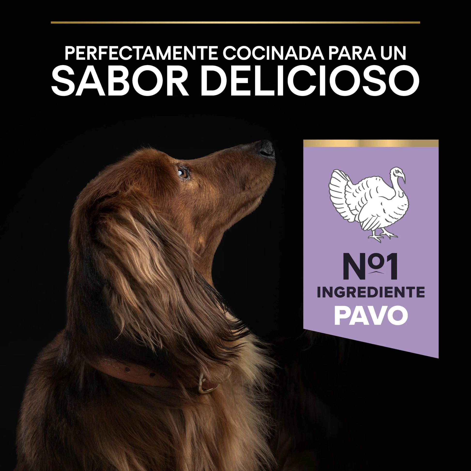 Pro Plan Small & Mini Adult Digest Grain Free Pavo Pienso para Perros PURINA Mascotas-Ávila