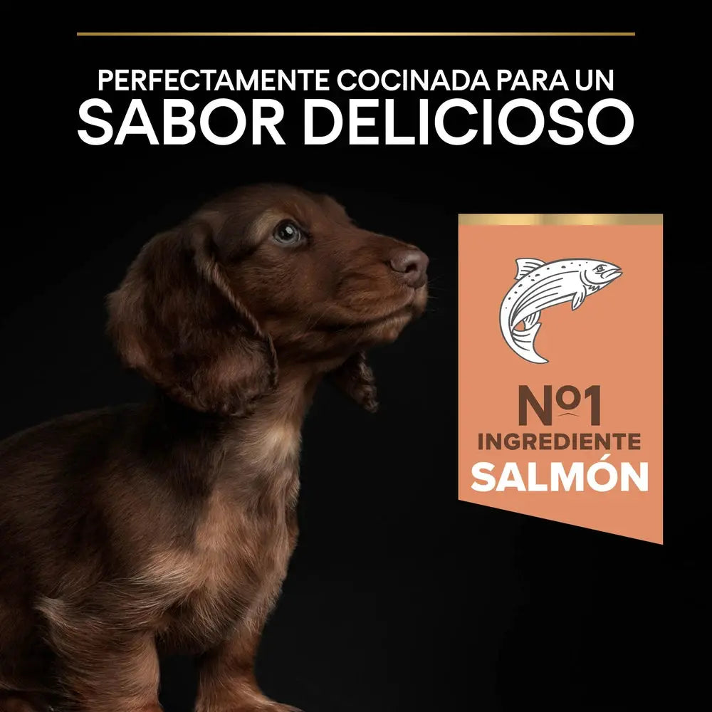 Pro Plan Small&Mini Puppy Sensitive Skin Salmón Pienso para Cachorros PRO PLAN Mascotas-Ávila