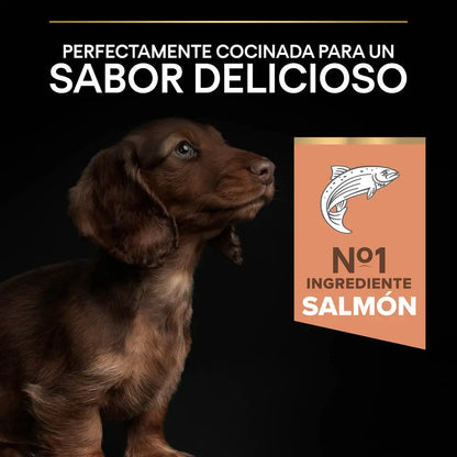 Pro Plan Small&Mini Puppy Sensitive Skin Salmón Pienso para Cachorros PRO PLAN Mascotas-Ávila