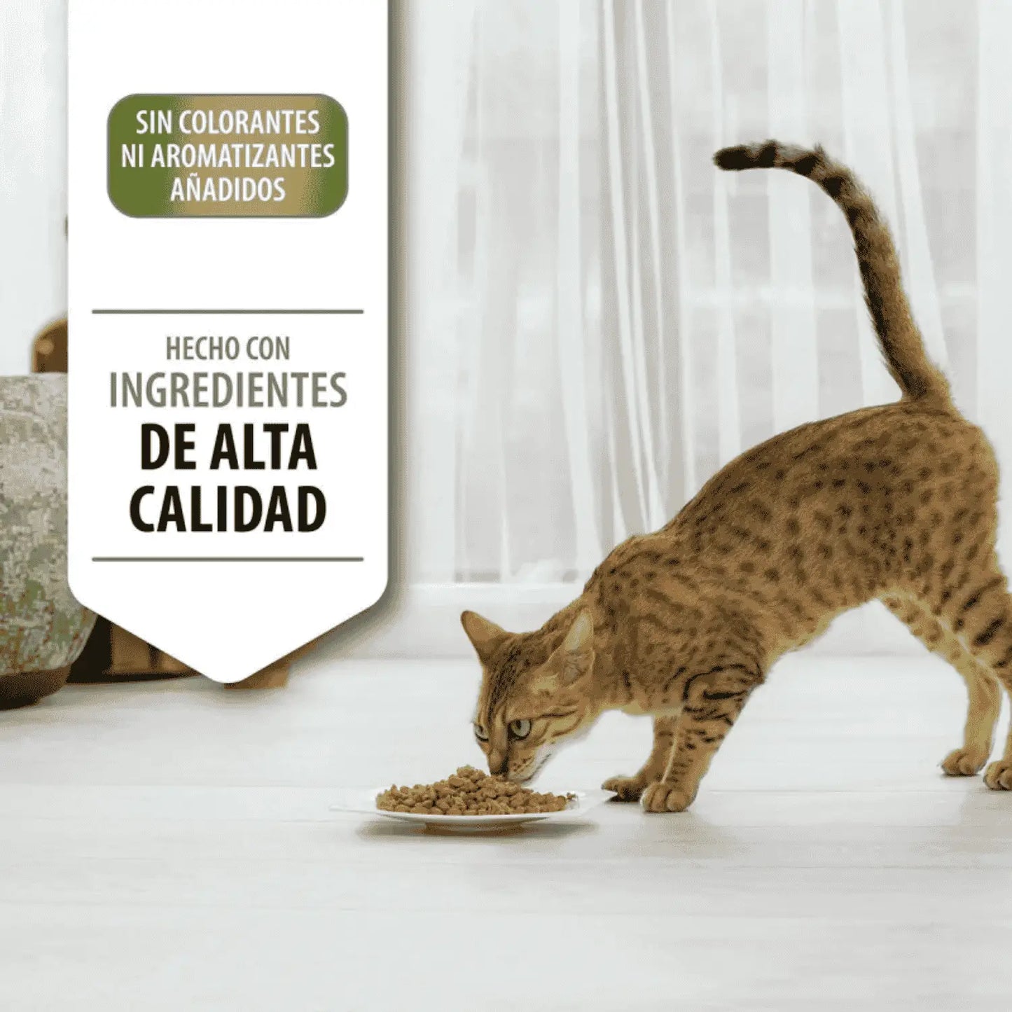 Pro Plan Cat Sterilized Adult Renal+ Pavo 10kg+2kg gratis - Mejor Precio - Mascotas Ávila