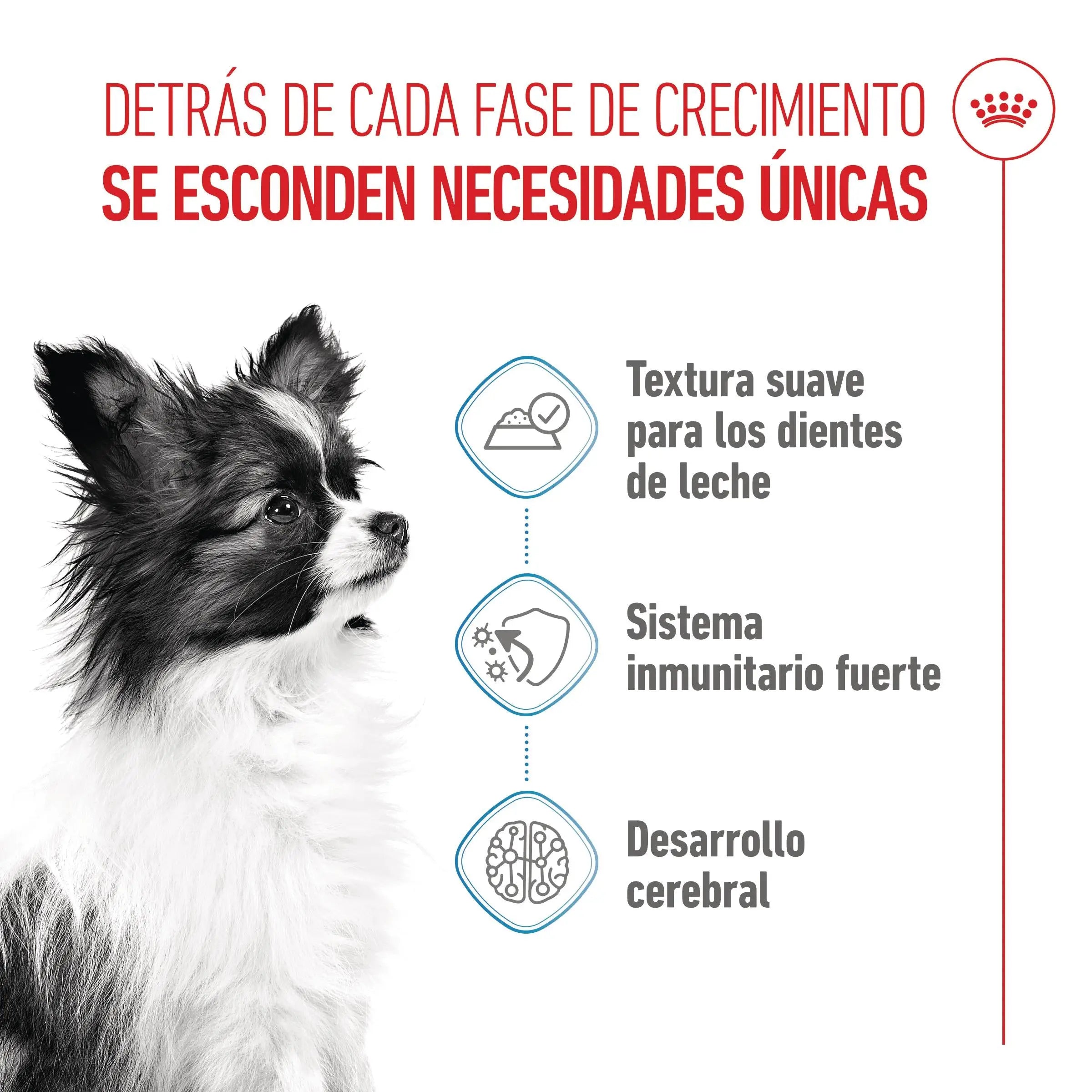 Royal Canin X-Small Puppy 85 g Comida Húmeda para Cachorros ROYAL CANIN