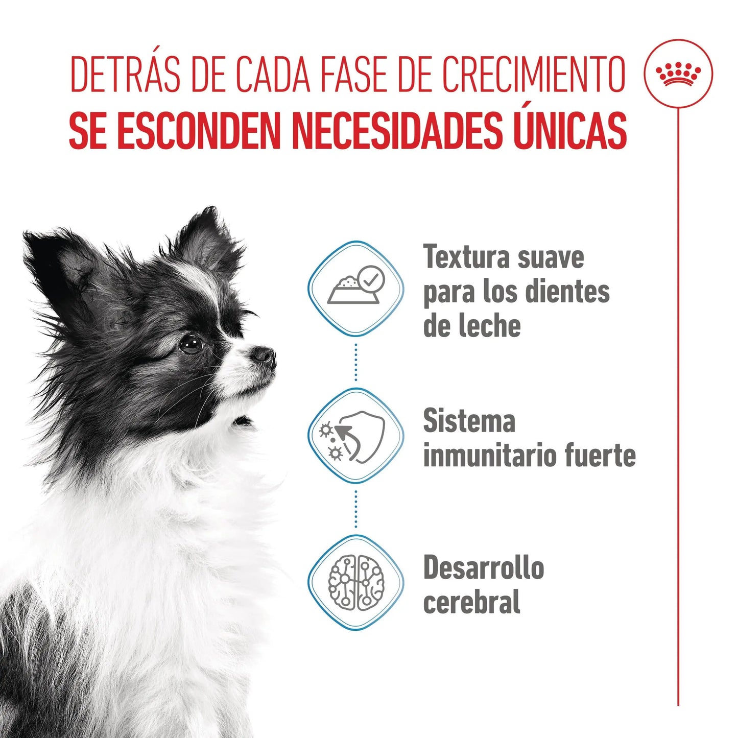 Royal Canin X-Small Puppy 85 g Comida Húmeda para Cachorros ROYAL CANIN