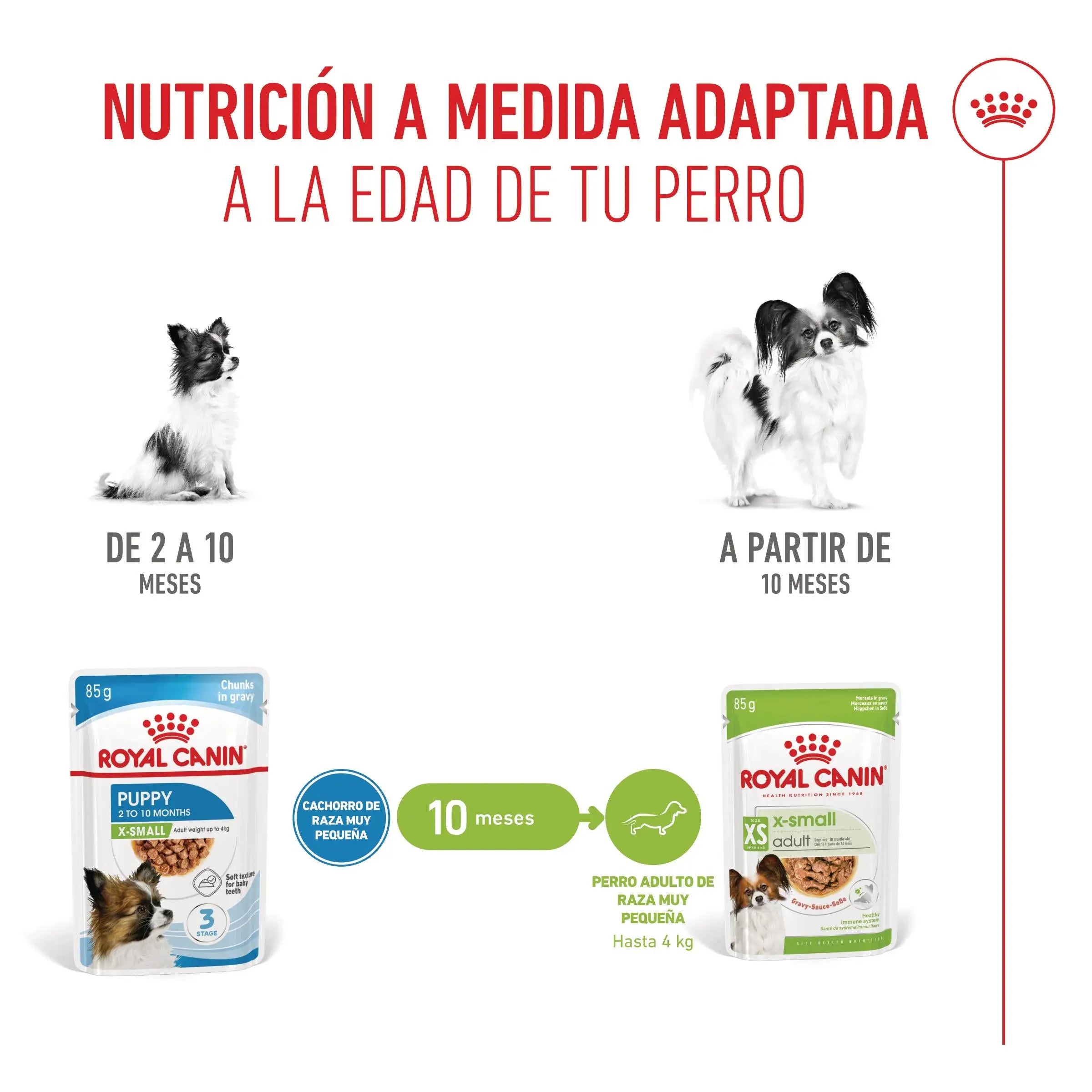 Royal Canin X-Small Puppy 85 g Comida Húmeda para Cachorros ROYAL CANIN