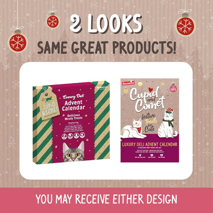 Rosewood Snack Cat Navidad Calendario Adviento 70gr ROSEWOOD Mascotas-Ávila