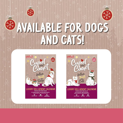 Rosewood Snack Cat Navidad Calendario Adviento 70gr ROSEWOOD Mascotas-Ávila