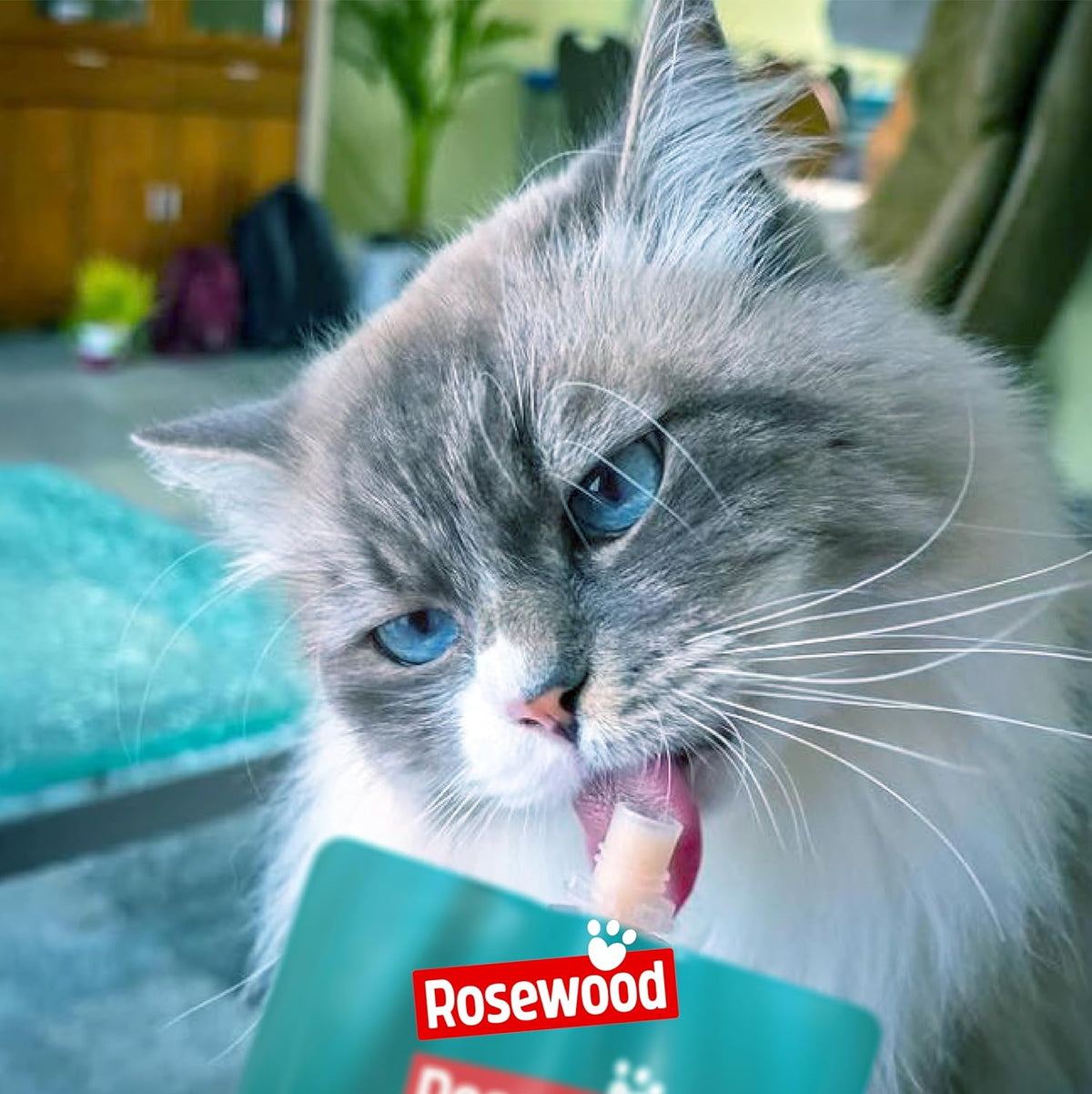 Rosewood Snack Deli Delight de Salmón para Gatos ROSEWOOD Mascotas-Ávila