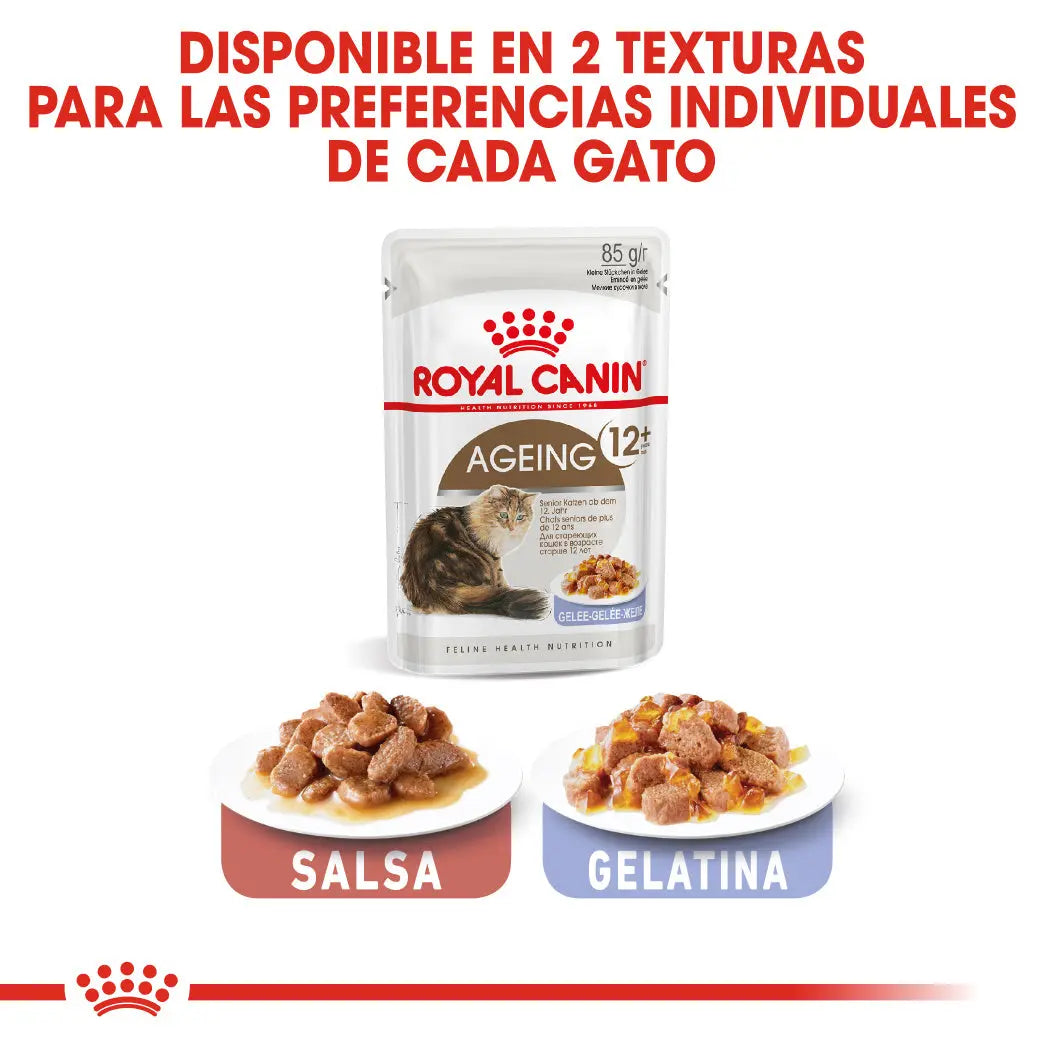 Royal Canin Ageing 12+ Gelatina 85 g Alimento Húmedo para Gatos ROYAL CANIN Mascotas-Ávila