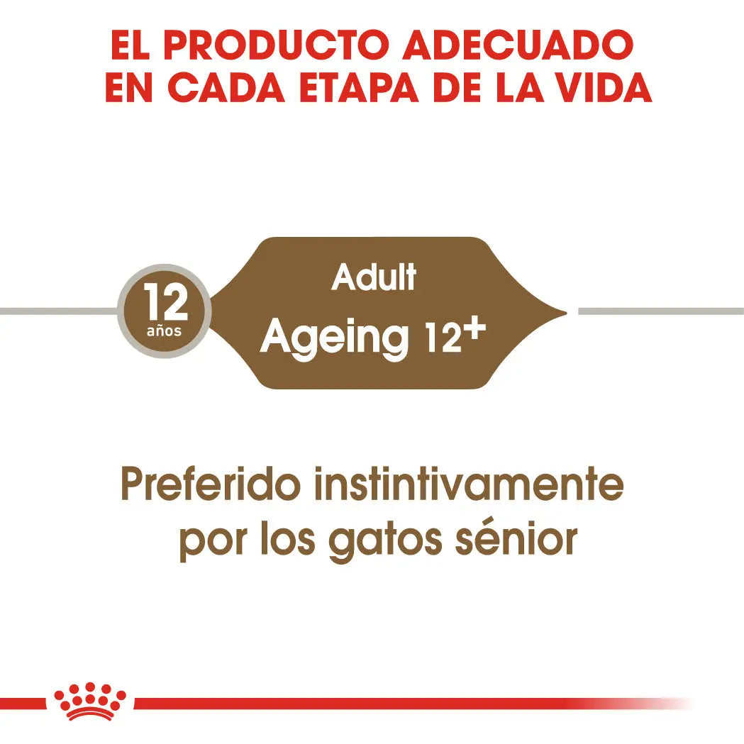 Royal Canin Ageing 12+ Gelatina 85 g Alimento Húmedo para Gatos ROYAL CANIN Mascotas-Ávila