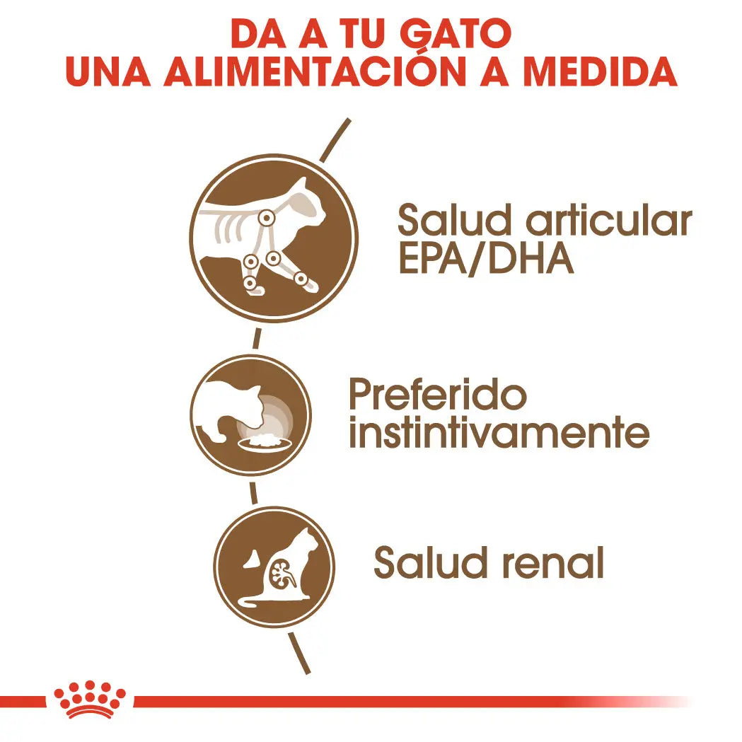 Royal Canin Ageing 12+ Gelatina 85 g Alimento Húmedo para Gatos ROYAL CANIN Mascotas-Ávila