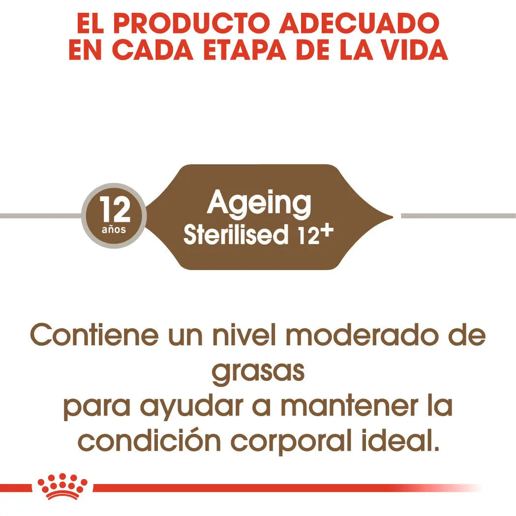 Royal Canin Ageing 12+ Sterilized Pienso para Gatos ROYAL CANIN Mascotas-Ávila