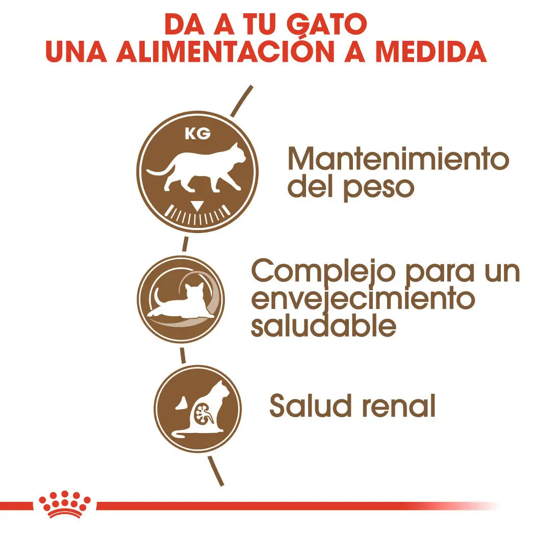 Royal Canin Ageing 12+ Sterilized Pienso para Gatos ROYAL CANIN Mascotas-Ávila