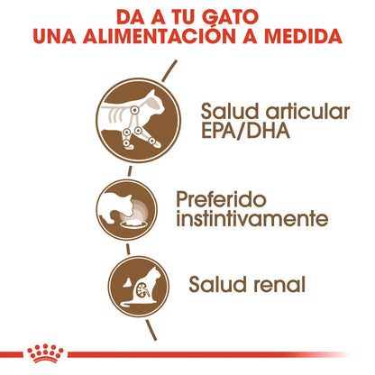 Royal Canin Ageing 12+ en Salsa 85 g Alimento Húmedo para Gatos ROYAL CANIN Mascotas-Ávila