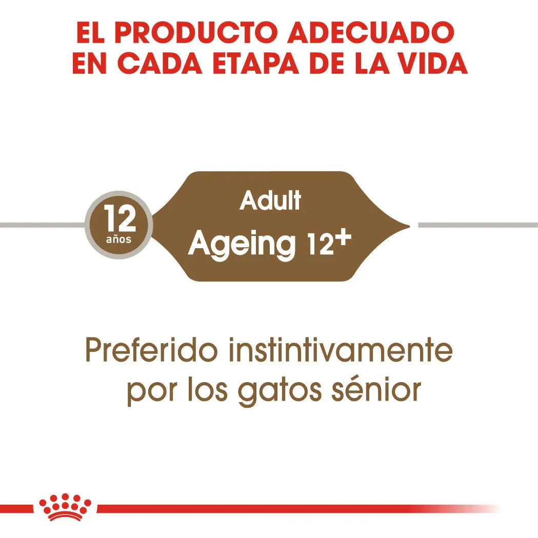 Royal Canin Ageing 12+ en Salsa 85 g Alimento Húmedo para Gatos ROYAL CANIN Mascotas-Ávila