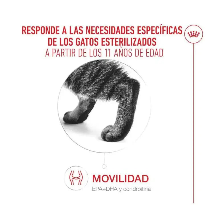 Royal Canin Ageing Sterilised 11+ Pienso para Gatos Senior Esterilizados ROYAL CANIN Mascotas-Ávila
