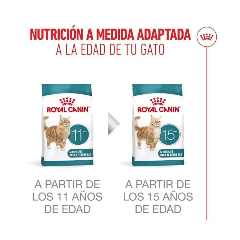 Royal Canin Ageing Sterilised 11+ Pienso para Gatos Senior Esterilizados ROYAL CANIN Mascotas-Ávila
