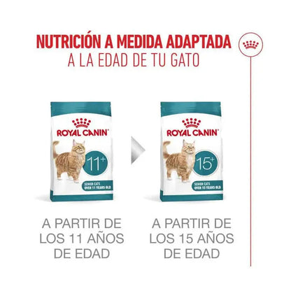 Royal Canin Ageing Sterilised 11+ Pienso para Gatos Senior Esterilizados ROYAL CANIN Mascotas-Ávila