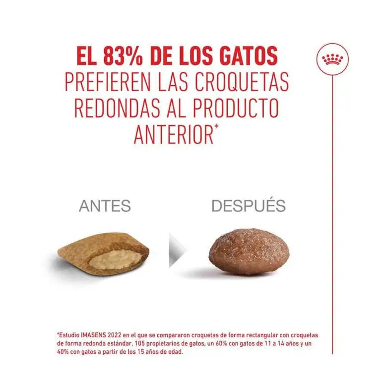 Royal Canin Ageing Sterilised 11+ Pienso para Gatos Senior Esterilizados ROYAL CANIN Mascotas-Ávila